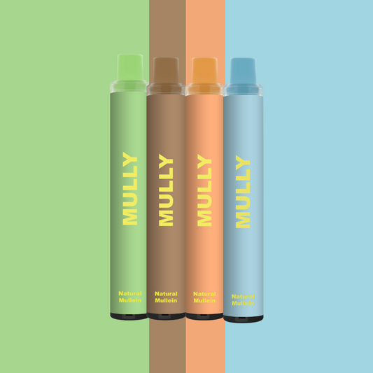 Mullein Diffuser Complete Set