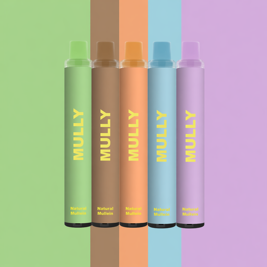 Mullein Diffuser Complete Set